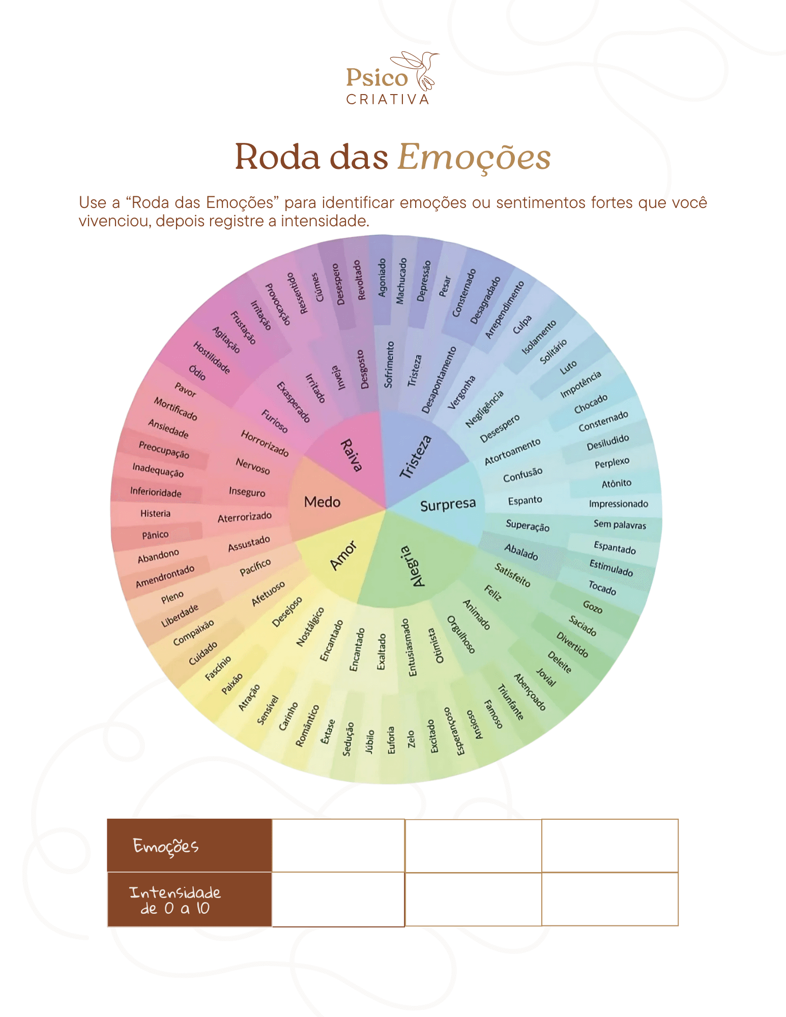 25- Roda das Emoções